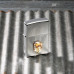 Запалка Zippo Gold Skull Design